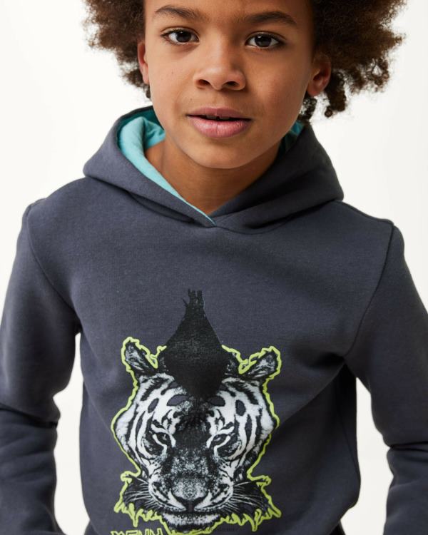 Mexx Hoody with artwork Dark Grey 0T44H955 Boys