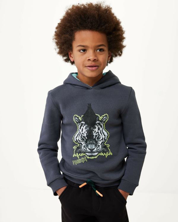 Mexx Hoody with artwork Dark Grey 0T44H955 Boys